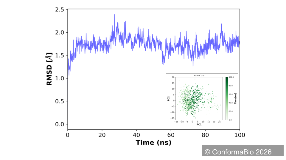 RMSD of wild-type protein