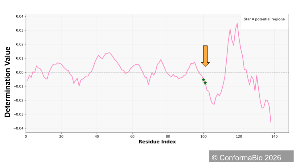 Hinge identification of Cadherin protein
